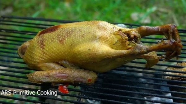 Wilderness Cooking Skill | Grill Muscovy Duck Green Coconut Recipe