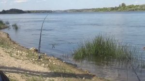 Рыбалка на Оке! Ловля на ДОНКИ Вечерком! Выезд с семьей.