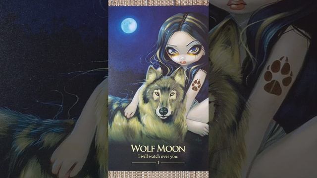 Wolf Moon (1) ? Oracle of the Shapeshifters card meaning смотреть онлайн