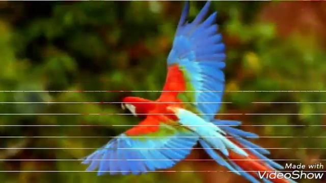 С 1 днём лета ??????☺? смотреть онлайн