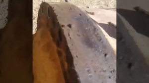 Как снять бортовую К700?#алекс_юстасу #кировец #ремонт #бортовая #ремонтбортовой