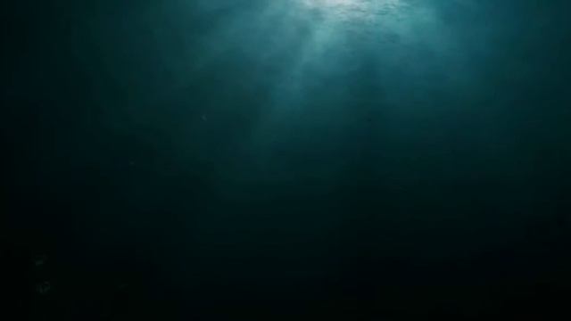 Warcraft 3 The Frozen Throne   Opening   PC MAC   YouTube