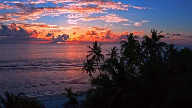 Our planet nature 4K compilation | Runaway - Auora смотреть онлайн
