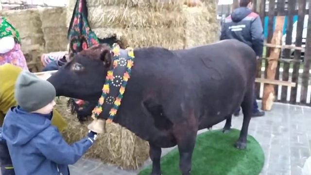 Казанский Храм. Посёлок Новая Усмань, Воронежская область. 04 ноября 2019 года, смотреть онлайн
