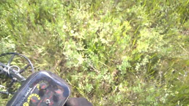 Golden Mask 4 PRO, тест на стабильность прибора по траве. смотреть онлайн