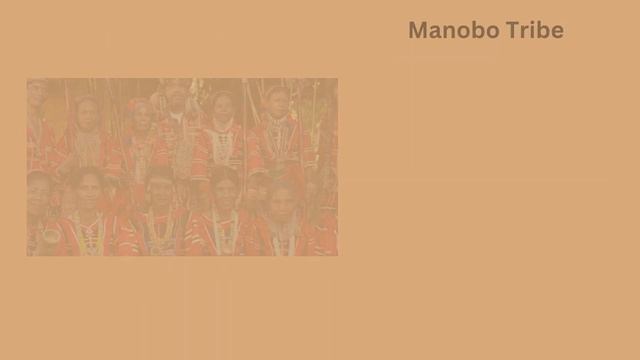 PECHA KUCHA PRESENTATION смотреть онлайн