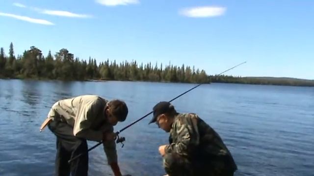 Карелия 2008. Поездка на озера Таваярве и Кушеванда смотреть онлайн