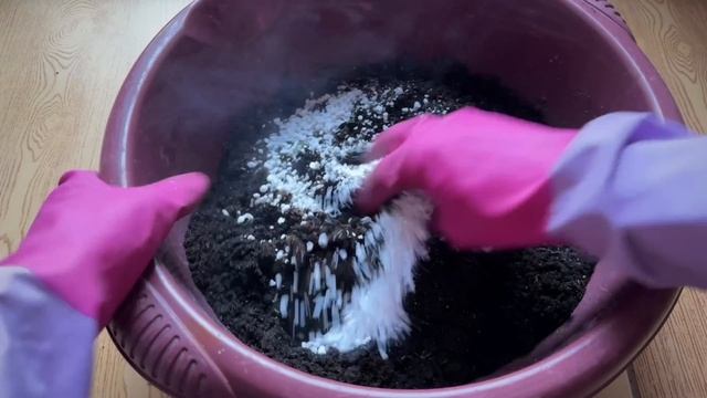 Сею огурцы для зимнего огорода. Качественный грунт для рассады своими руками за минимальные деньги смотреть онлайн