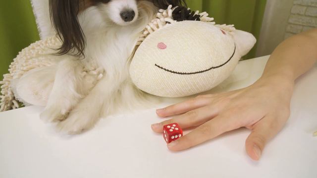 Веселый ЮКИ против АЛИСЫ из ЯНДЕКСА / Съедобное - Не Съедобное СЛАЙМ челлендж! смотреть онлайн