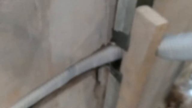 Жить с умом: техника для дома