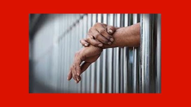 வெளிநாடுகளில் வாழும் பெற்றோர், பிள்ளைகள் வளர்ப்பில்.../Successful parenting tips in Tamil смотреть онлайн