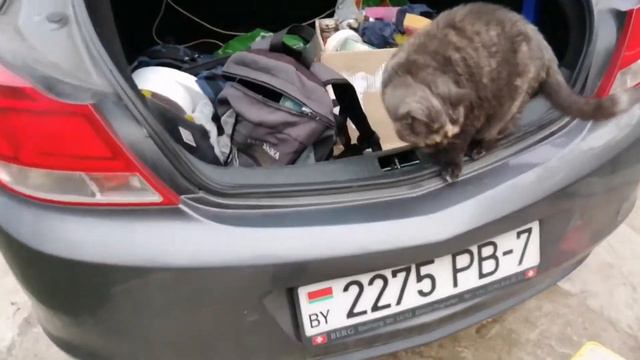 бывает смотреть онлайн