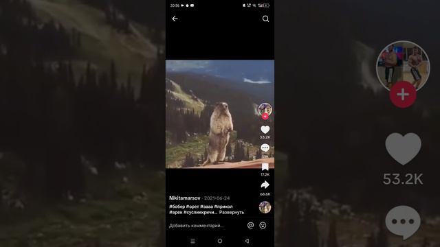 ААААААААААААААААААААААаА