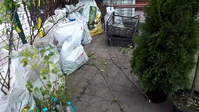 ТА,- ЧТО ПОСТОЯННО ЖУЕТ!!!!!!1 ЧАСТЬ смотреть онлайн