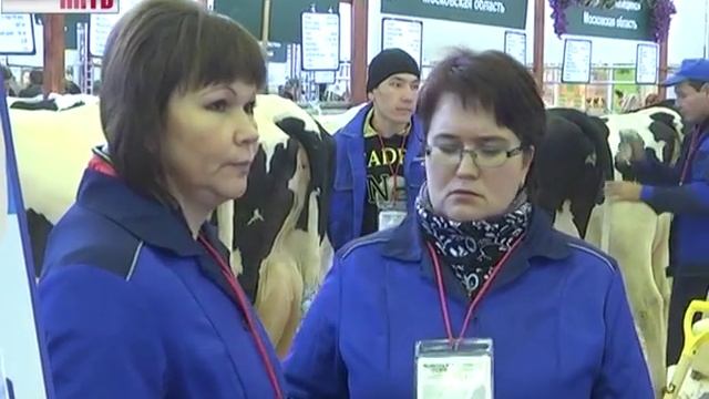 Выставка "Золотая осень 2014" смотреть онлайн