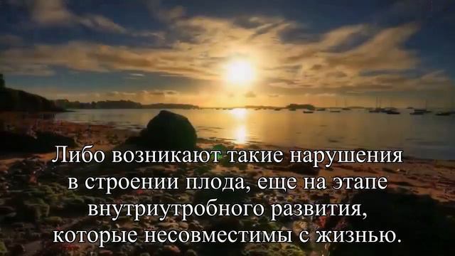 «Сколько у вас хромосом » — Статья смотреть онлайн
