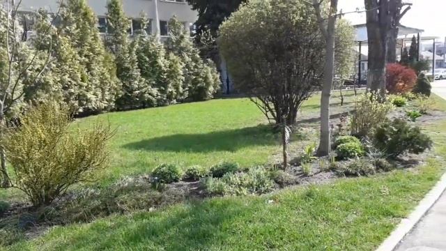 ??Весенние Мотивы !!! Удивительно Красивые Растения !!!?? смотреть онлайн