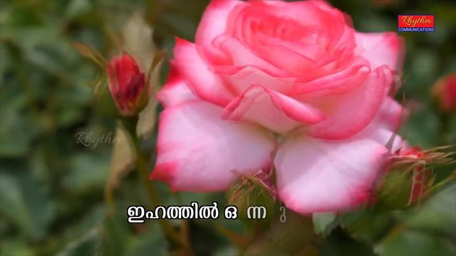 ദൈവാരൂപിയാൽ നിർമിക്കപ്പെട്ട ഗാനങ്ങളാണ് ഇതെല്ലാം Christian Devotional Hits of Kester & MG Sreekumar