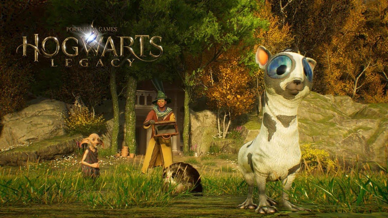 Hogwarts Legacy ◉ Прохождение ➤ Часть: 8 ➤ Хвать - Мешок).