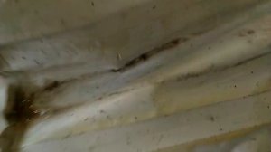 делаем новую лодку из пвх своими руками