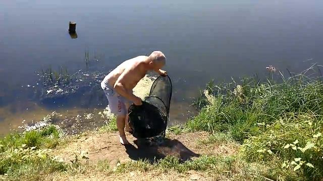 Улов на фидер на Десне. смотреть онлайн