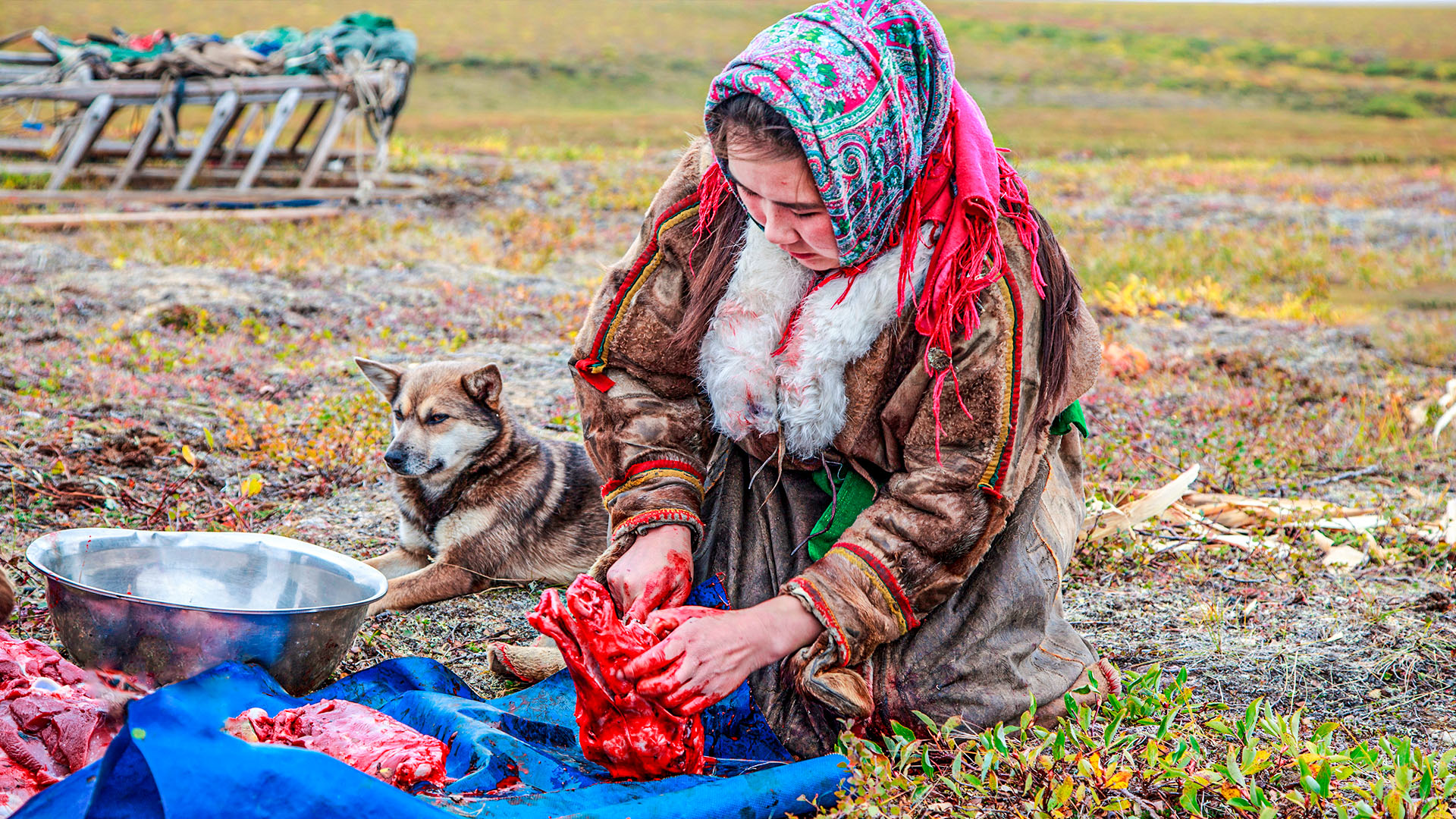 10 фактов о Крайнем Севере, которые вас удивят | Факты смотреть онлайн
