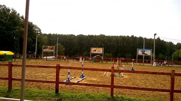 Кавалетти. Соревнования по конному спорту. Cavaletti. Competitions in equestrian sport.
