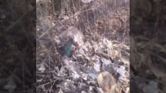 Алатырь загрязнение смотреть онлайн