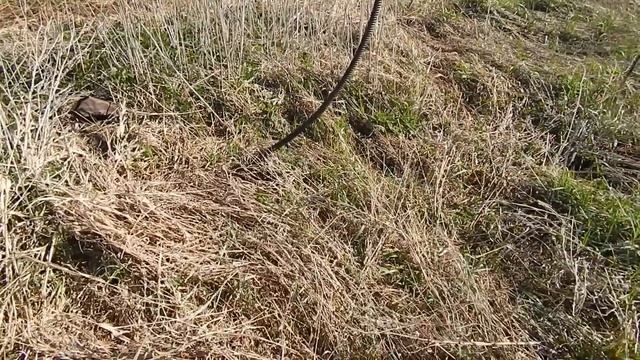 Кайфовый коп в полях. Коп металлолома смотреть онлайн