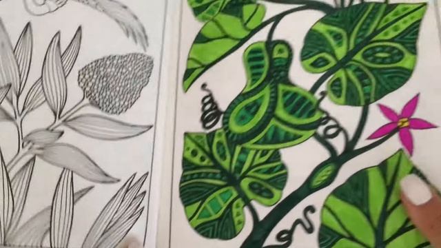 Все мои раскраски на восточную тему// ЯПОНИЯ/ КИТАЙ/ КОРЕЯ смотреть онлайн