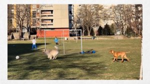 Samsung Galaxy S24 - впечатления после недели!