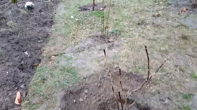 Прикрашаємо світ.