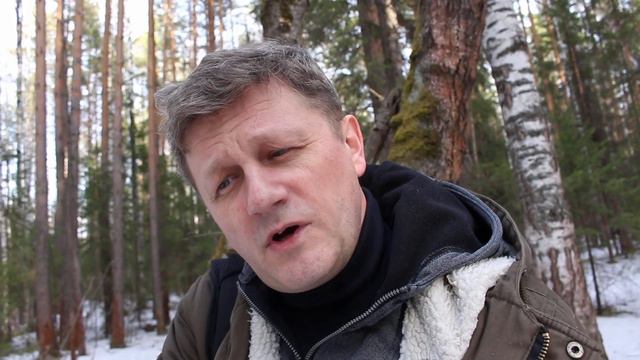 А.А. Фет "Что ты, голубчик, задумчив сидишь..." смотреть онлайн