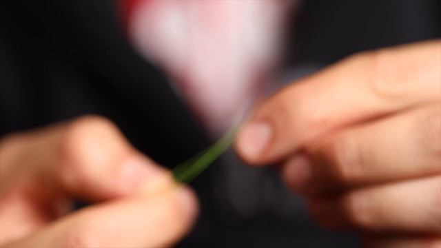 Dropper fly rig for sea trout - How to best fish with two streamers? смотреть онлайн