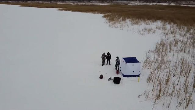 Любинская старица
