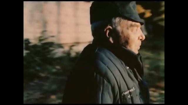 Клип Кругом тайга смотреть онлайн
