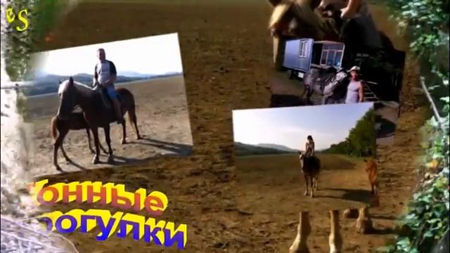 Экскурсии Архипо-Осиповка смотреть онлайн