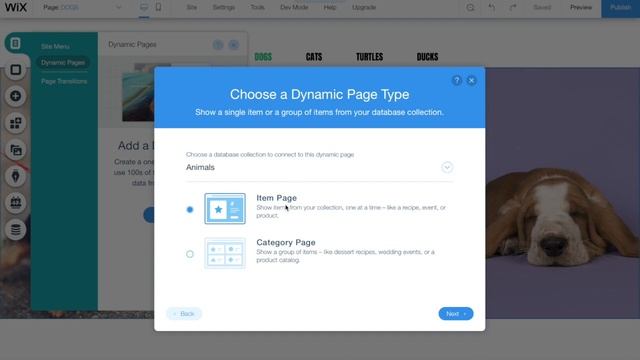 Create Dynamic Pages and Wix Database смотреть онлайн