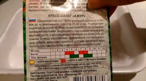 Сеем кресс  салатl  Самый простой способ посева кресс  салата  Зелень на подоконнике  watercress