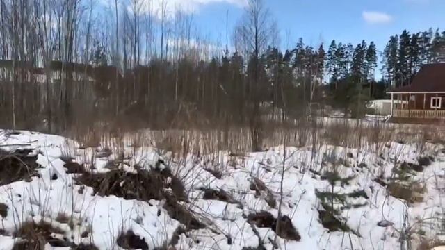 Сосновый Бор, участок в дачном кооперативе на берегу озера, в 15 мин/авто до залива смотреть онлайн