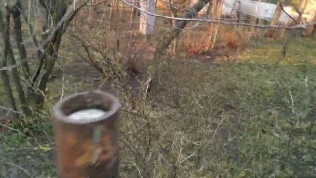Белю деревья садовой краской. Сколько весят кролики? смотреть онлайн