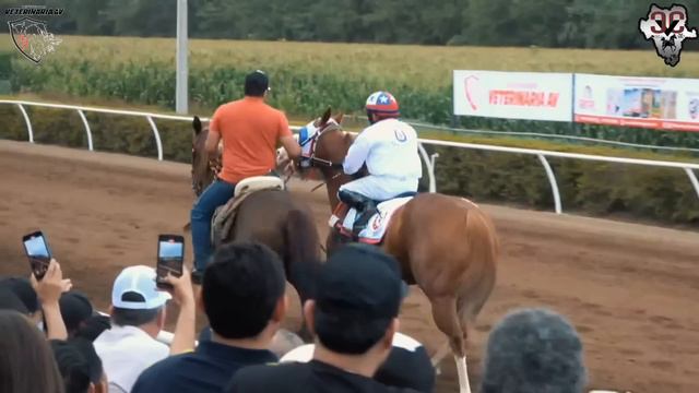 A caído el gran Payaso, el Peligro Cuadra la Estrella la nueva sensación en México!! смотреть онлайн