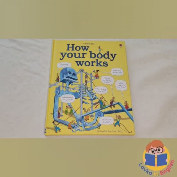 How Your Body Works Usborne