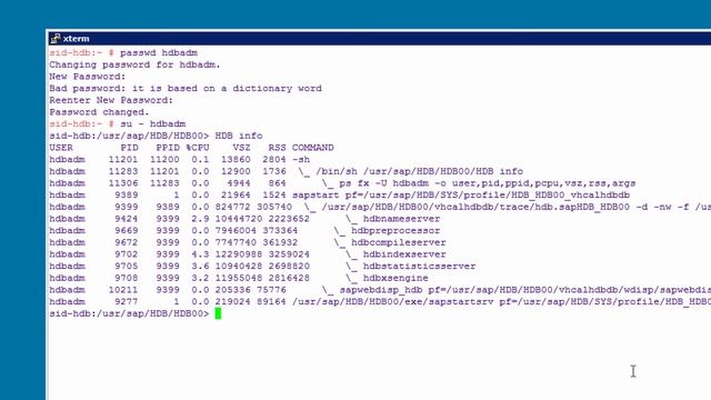 [Archived][1.0 SPS 08] SAP HANA Security: Reset SYSTEM password - SAP HANA Academy смотреть онлайн