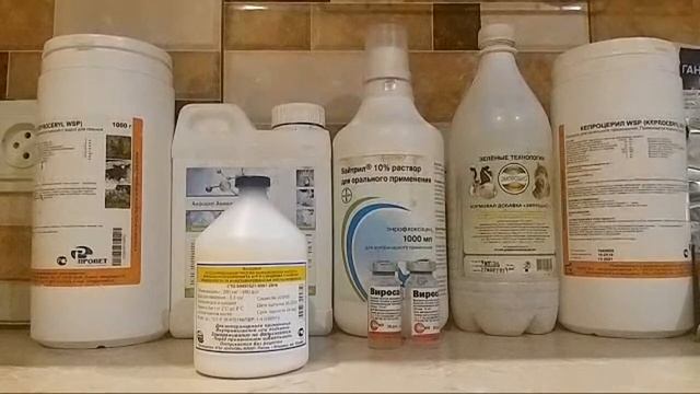 Лечение Профилактика Симптомы Сальмонеллёза У Голубей