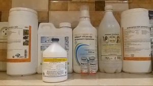 Лечение Профилактика Симптомы Сальмонеллёза У Голубей