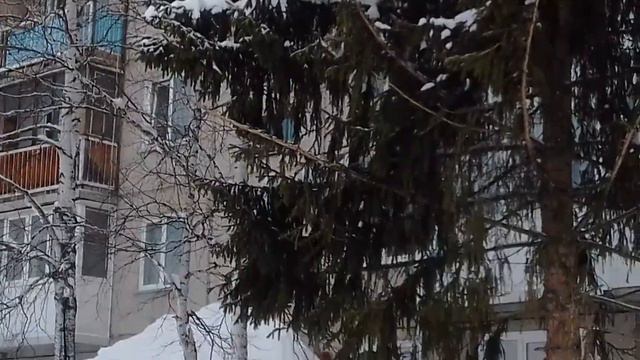 Краснокаменск борьба со снегом! смотреть онлайн