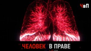 «Человек в праве» с Андреем Куницыным. Выпуск от 5 ноября 2023 года