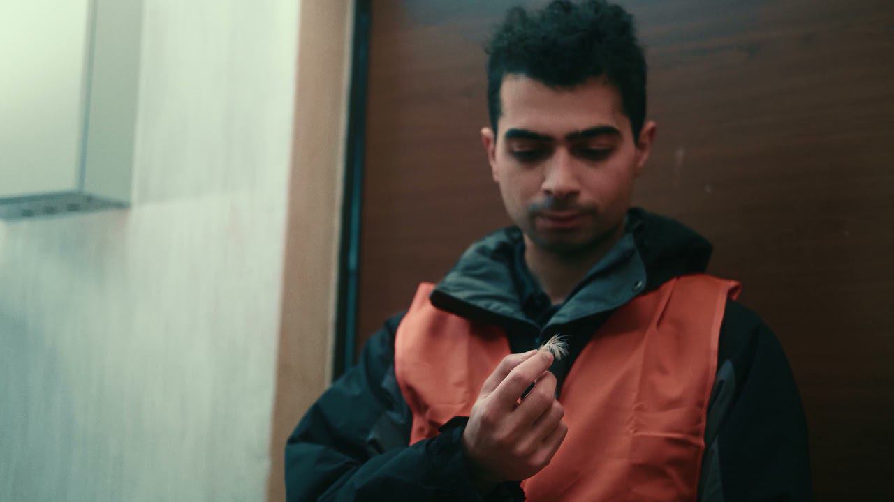 Фильм "Плюс минус один"