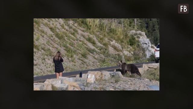 Туристка продолжала снимать медведя, не слыша криков родных, пока зверь приближался. Но встреча